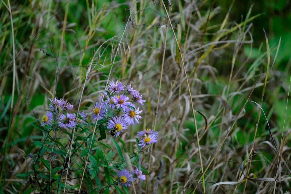 Is regenerative living the antidote to eco-anxiety?
